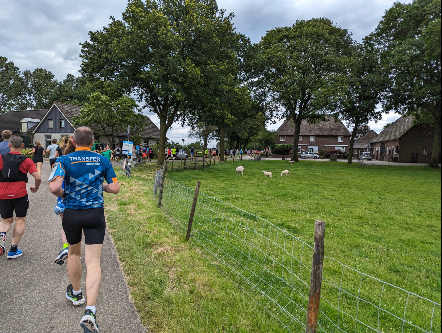 De Maasdijk 2024 event impression