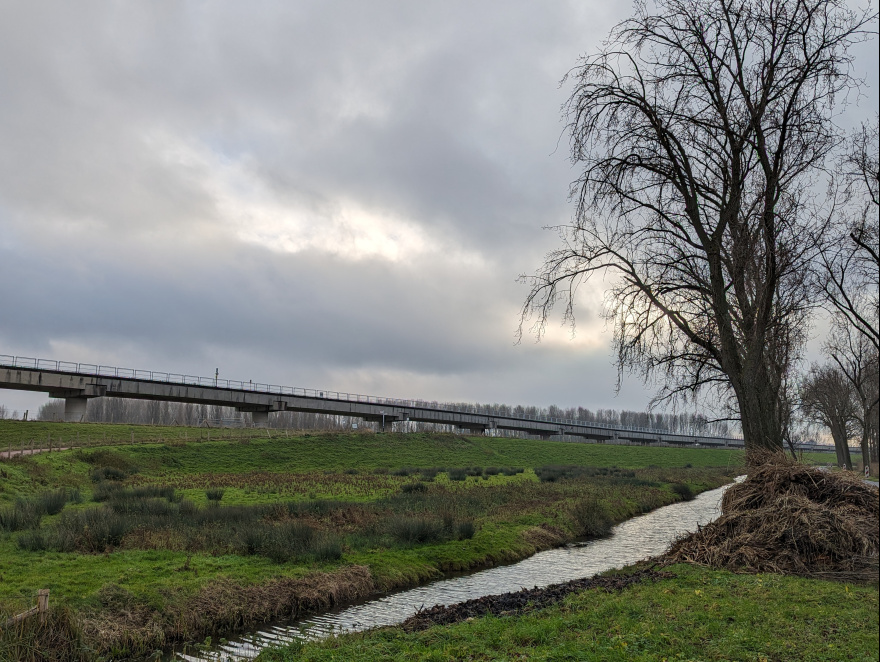 Training (Long Run) in Rotterdam scenery