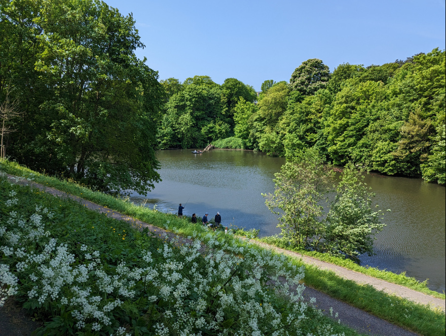 Training (Recovery Run) in The Hague scenery