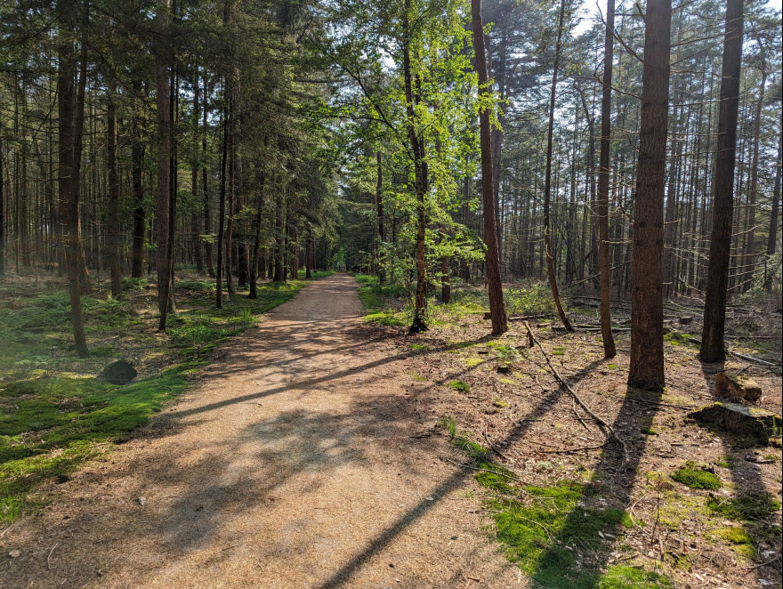 Training (Easy Run) in Breda scenery