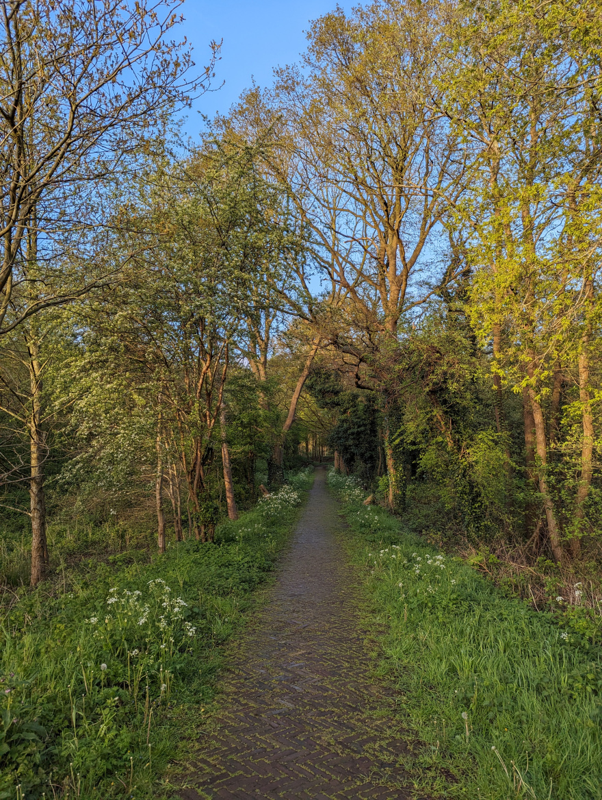 Training (Easy Run) in Breda scenery