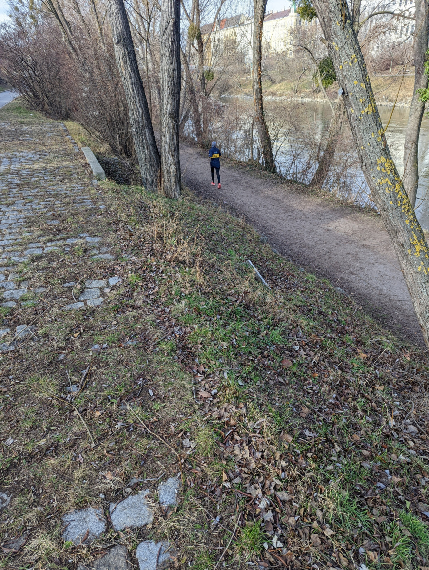 Training (Fartlek Run) in Vienna scenery