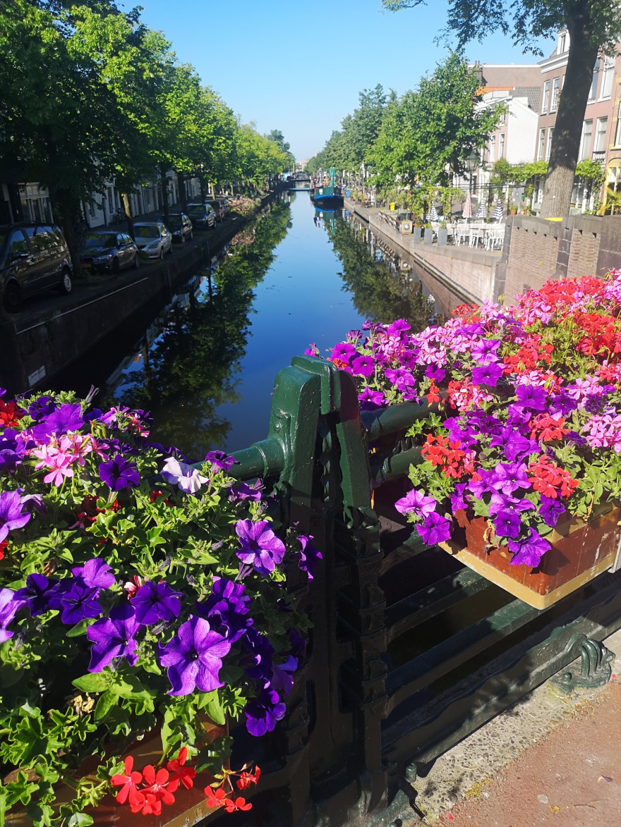 Training (Long Run) in The Hague scenery