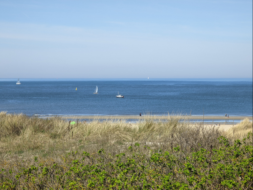 Training (Easy Run) in The Hague scenery