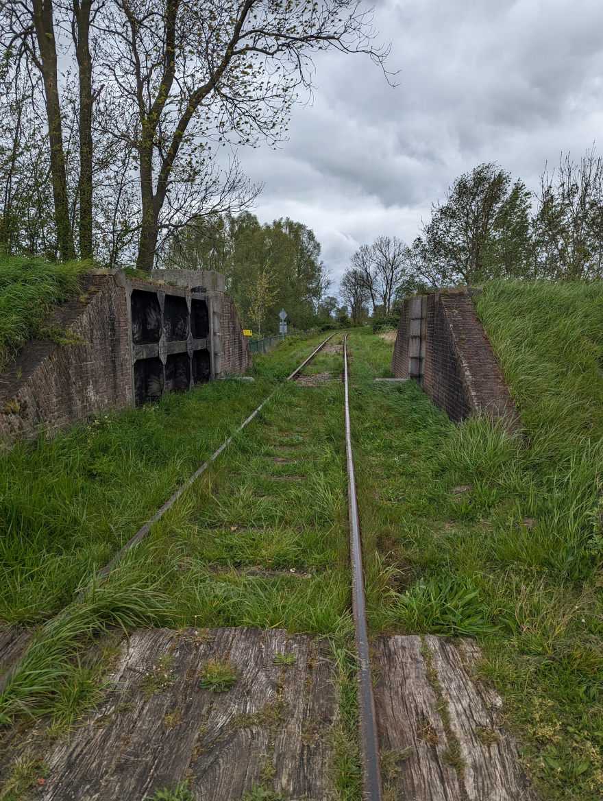 Zwaakse Weelloop 2024 scenery