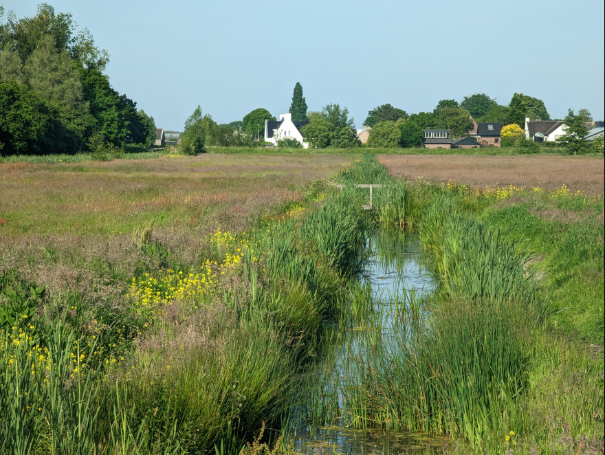 Training (Long Run) from Delft to Rotterdam scenery