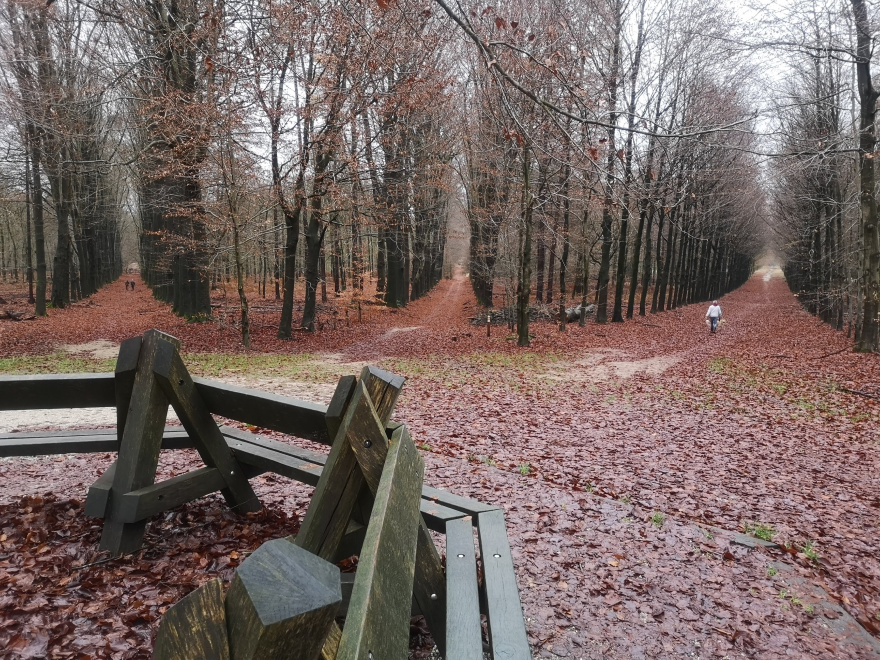 Training (Long Run) from Zevenaar to Doesburg scenery