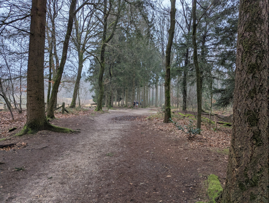 Zevenheuvelen Wintertrail 2024 event impression