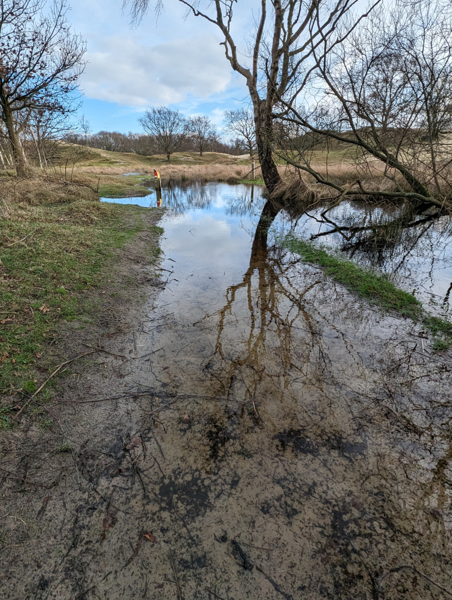 Training (Easy Run) in Schouwen-Duiveland scenery