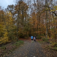 Amsterdamse Bos Parkrun 2024 event impression