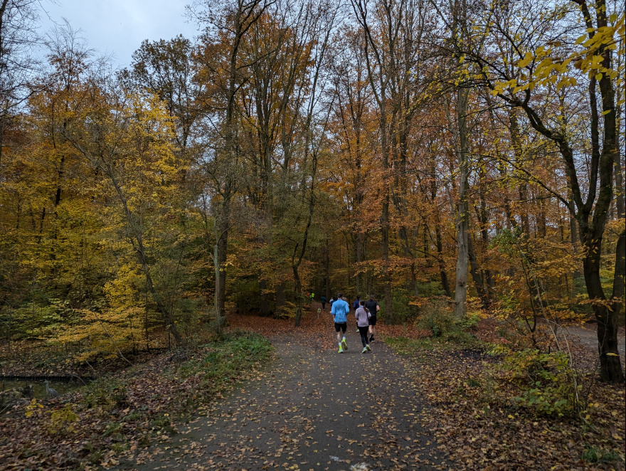 Amsterdamse Bos Parkrun 2024 event impression