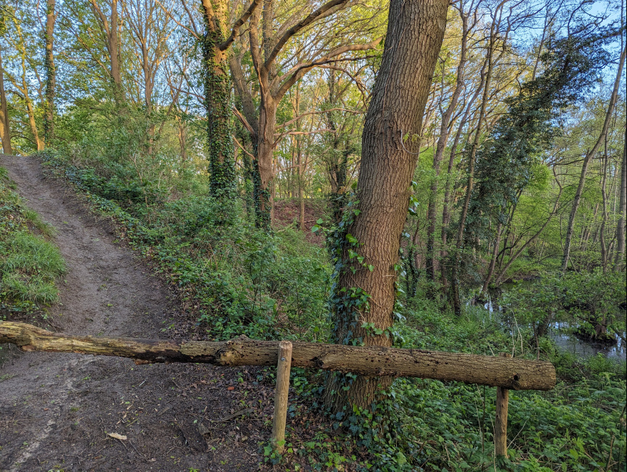 Training (Easy Run) in Breda scenery