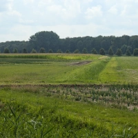 Training (Long Run) in Dronten scenery