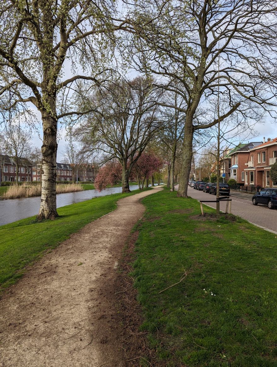 Training (Easy Run) in Rotterdam scenery