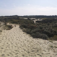 Halve van Renesse / Trail by the Sea 2020 event impression