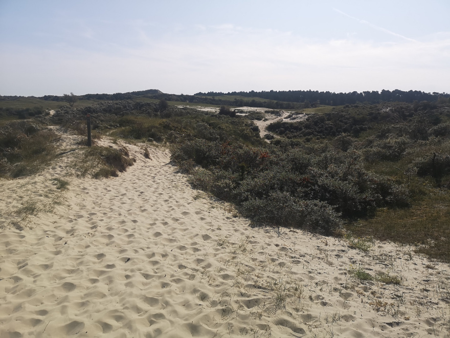 Halve van Renesse / Trail by the Sea 2020 event impression