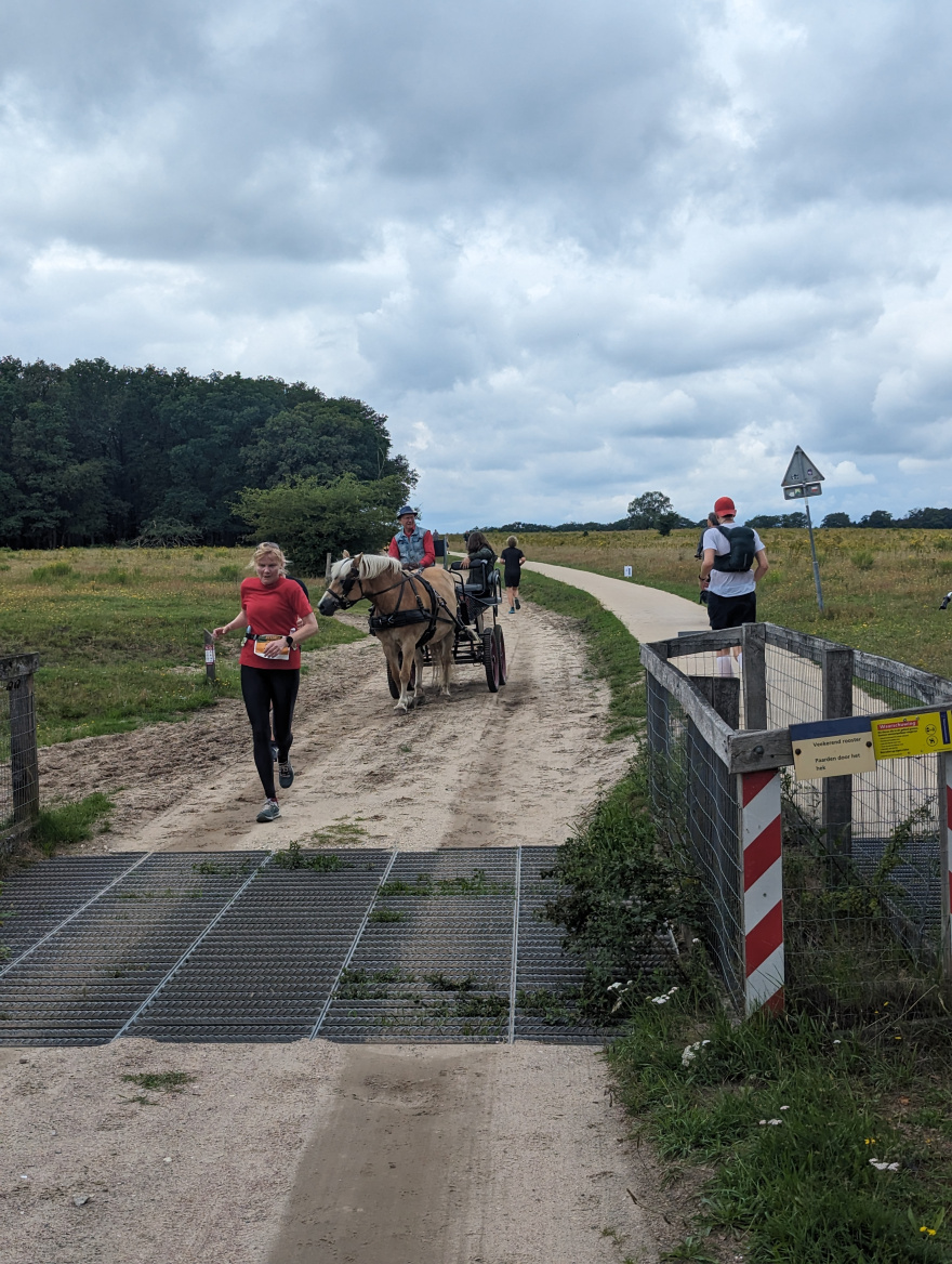 Otterlo Trail Run Summer Edition 2023 event impression