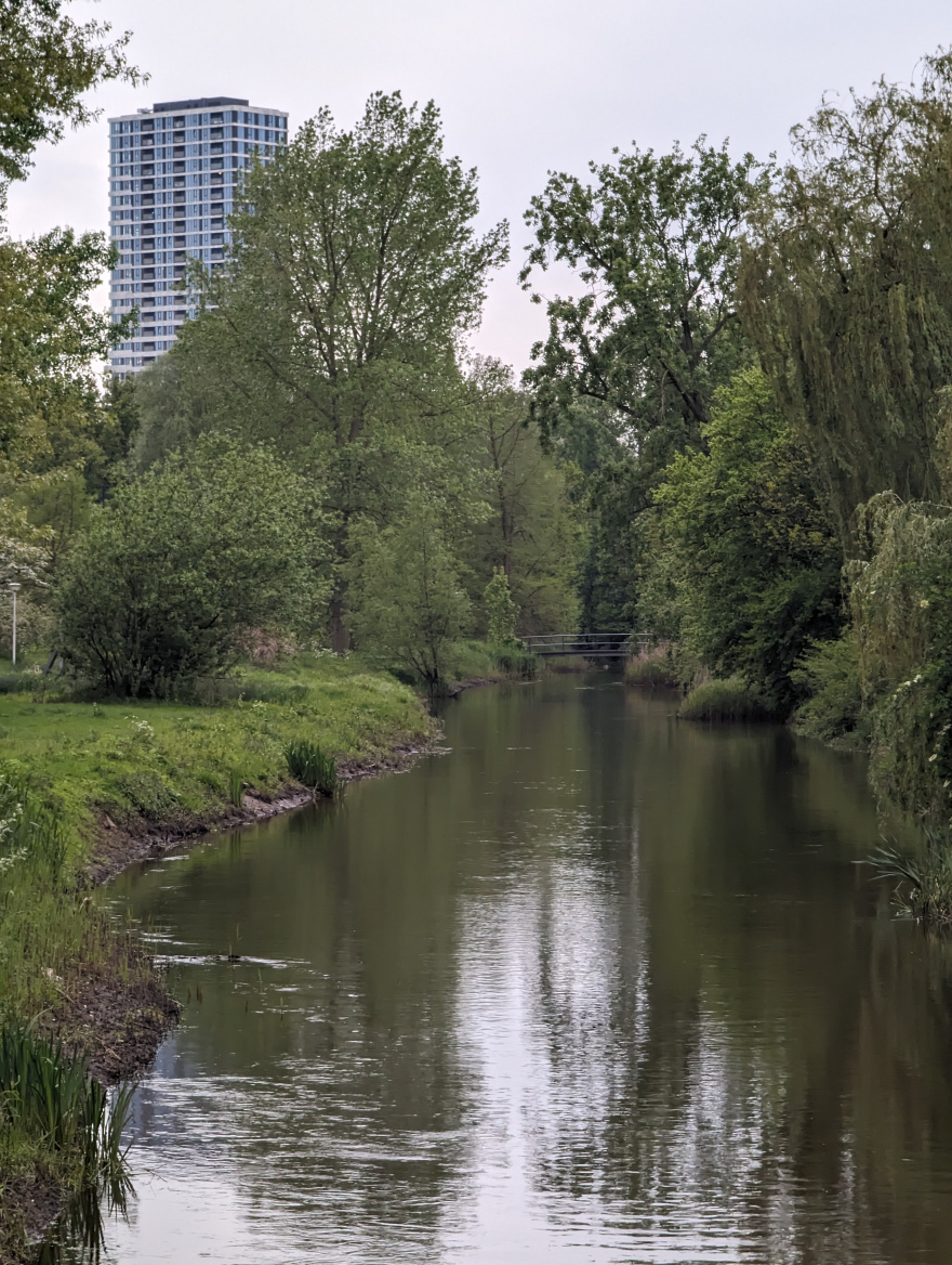 Dommelloop 2024 scenery