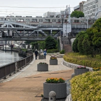 Training (Recovery Run) in Chuo scenery