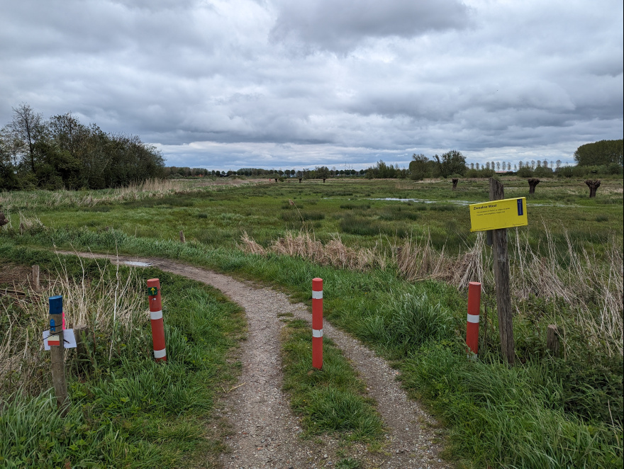 Zwaakse Weelloop 2024 scenery