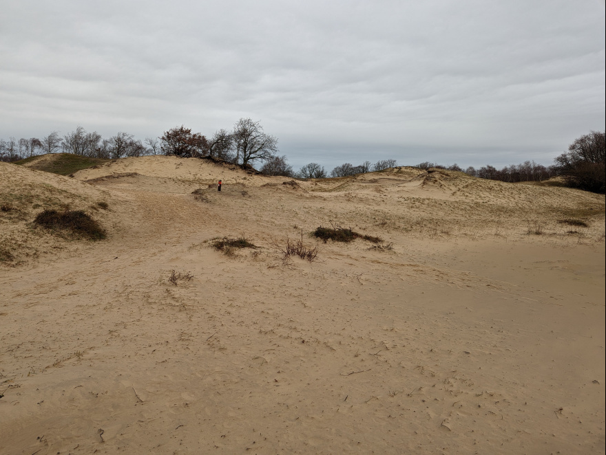 Training (Easy Run) in Schouwen-Duiveland scenery