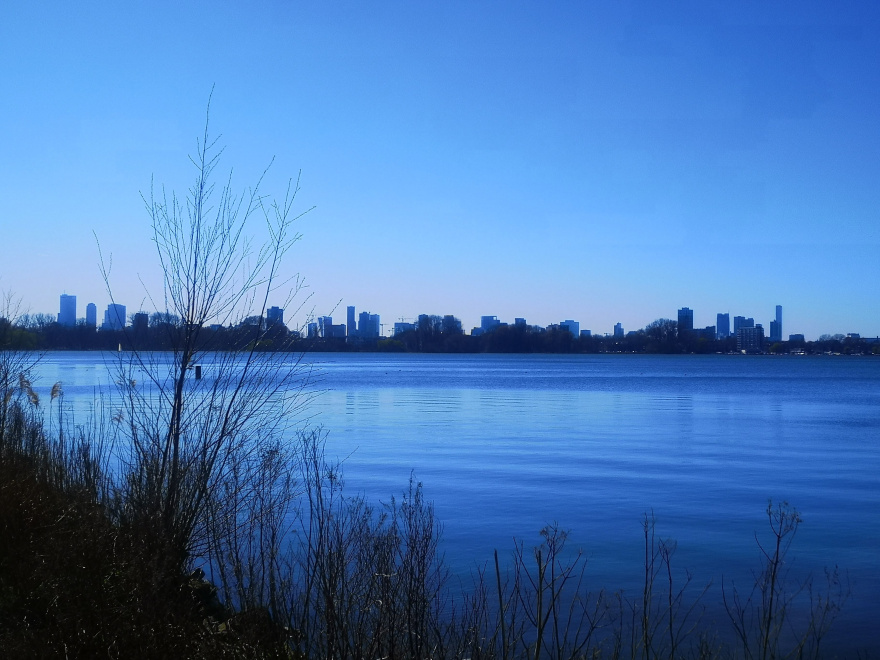 Training (Long Run) in Rotterdam scenery