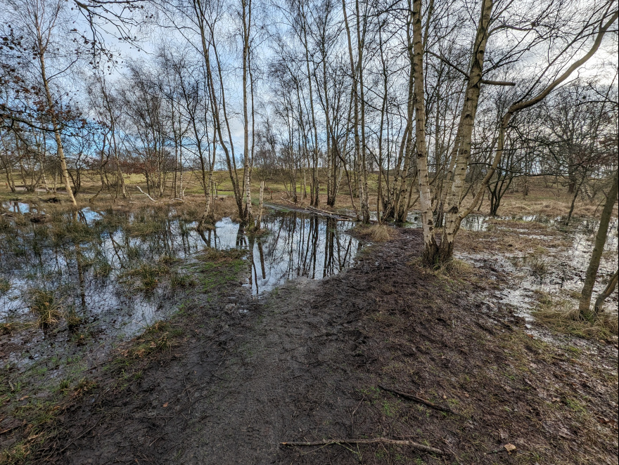 Training (Easy Run) in Schouwen-Duiveland scenery