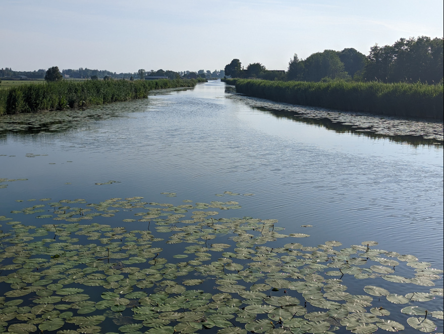 Training (Long Run) from Delft to Rotterdam scenery