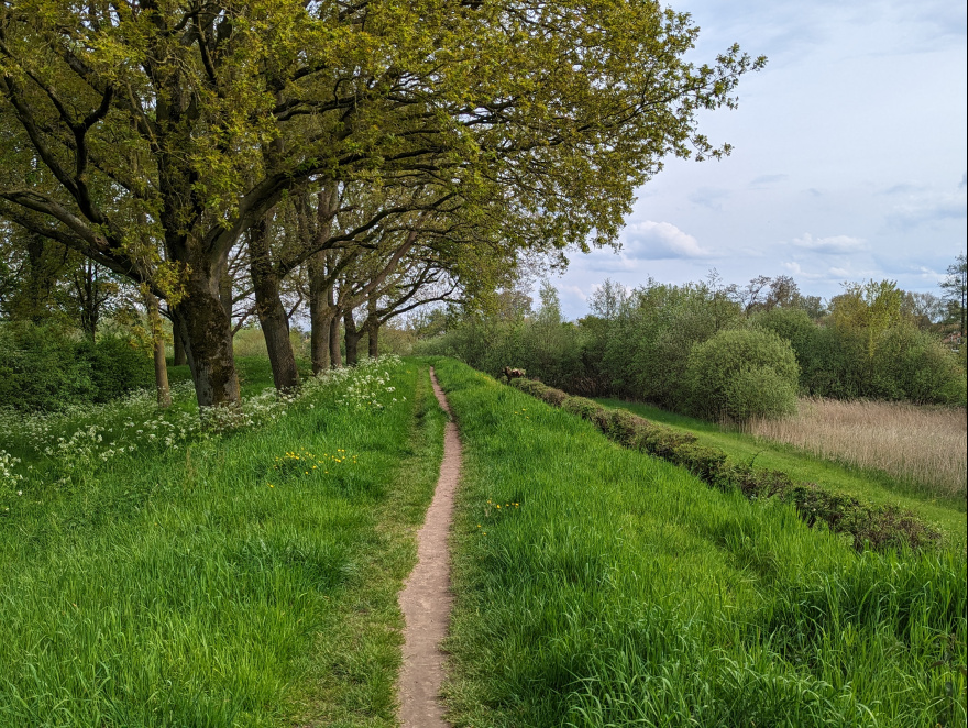 Training (Fartlek Run) in Zevenaar scenery