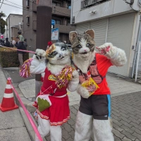 Osaka Marathon 2025 scenery