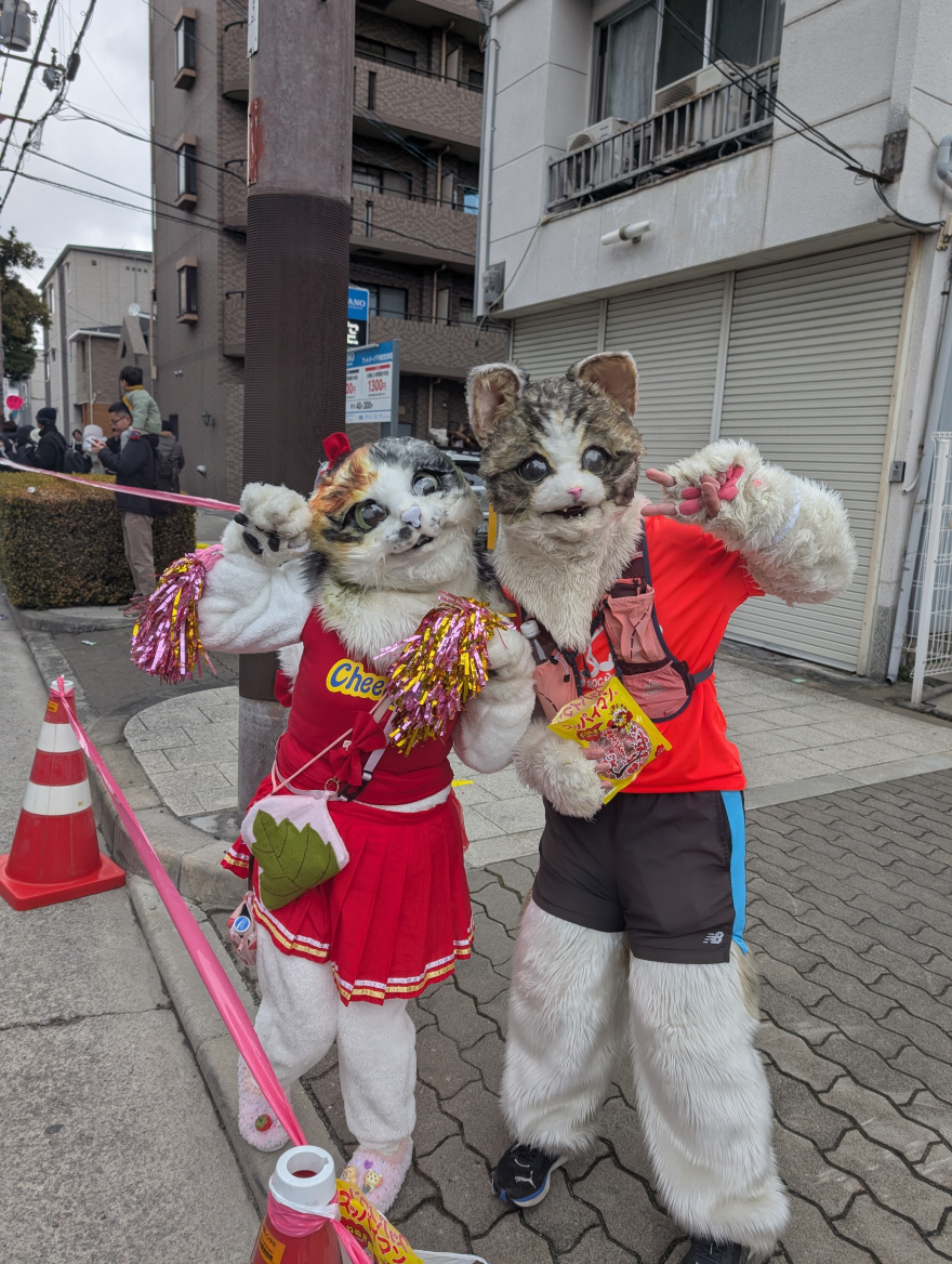 Osaka Marathon 2025 scenery